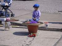 Foto zum Vergrößern bitte anklicken!