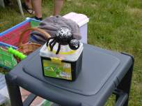 Foto zum Vergrößern bitte anklicken!