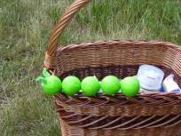 Foto zum Vergrößern bitte anklicken!