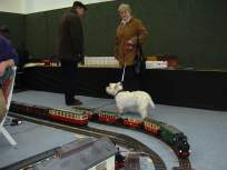 Foto zum Vergrößern bitte anklicken!