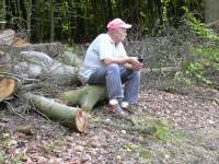 Foto zum Vergrößern bitte anklicken!