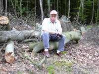 Foto zum Vergrößern bitte anklicken!