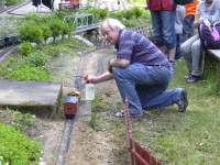 Foto zum Vergrößern bitte anklicken!