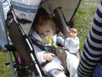 Foto zum Vergrößern bitte anklicken!