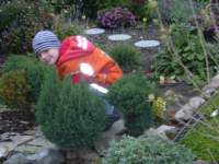 Foto zum Vergrößern bitte anklicken!