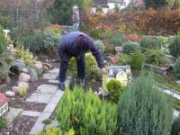 Foto zum Vergrößern bitte anklicken!