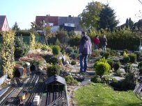 Foto zum Vergrößern bitte anklicken!