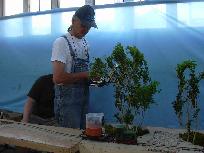 Foto zum Vergrößern bitte anklicken!