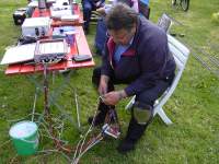 Foto zum Vergrößern bitte anklicken!