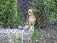 Foto zum Vergrößern bitte anklicken!