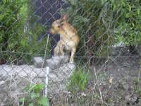 Foto zum Vergrößern bitte anklicken!