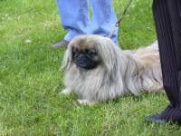 Foto zum Vergrößern bitte anklicken!