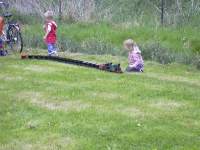 Foto zum Vergrößern bitte anklicken!