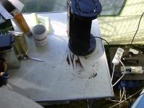 Foto zum Vergrößern bitte anklicken!