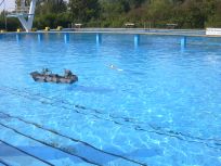 Foto zum Vergrößern bitte anklicken!