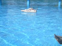 Foto zum Vergrößern bitte anklicken!