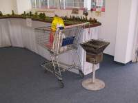 Foto zum Vergrößern bitte anklicken!