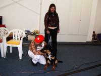 Foto zum Vergrößern bitte anklicken!