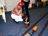 Foto zum Vergrößern bitte anklicken!