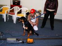 Foto zum Vergrößern bitte anklicken!