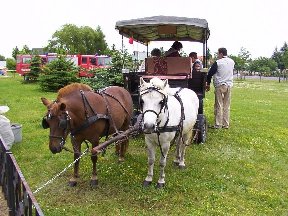 Foto zum Vergrößern bitte anklicken!