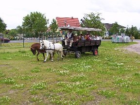 Foto zum Vergrößern bitte anklicken!