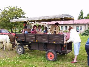 Foto zum Vergrößern bitte anklicken!