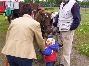 Foto zum Vergrößern bitte anklicken!