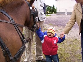 Foto zum Vergrößern bitte anklicken!