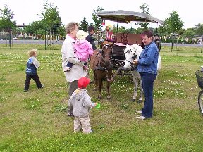 Foto zum Vergrößern bitte anklicken!