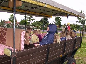 Foto zum Vergrößern bitte anklicken!