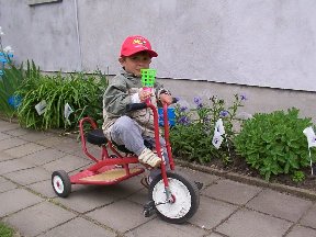 Foto zum Vergrößern bitte anklicken!