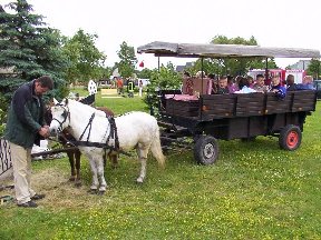 Foto zum Vergrößern bitte anklicken!