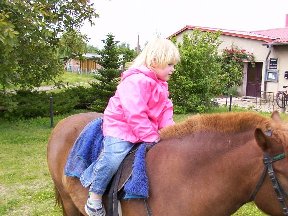 Foto zum Vergrößern bitte anklicken!