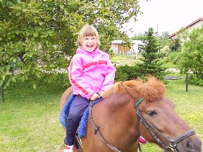 Foto zum Vergrößern bitte anklicken!