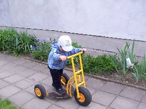 Foto zum Vergrößern bitte anklicken!