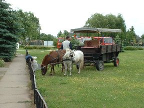 Foto zum Vergrößern bitte anklicken!