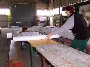 Foto zum Vergrößern bitte anklicken!