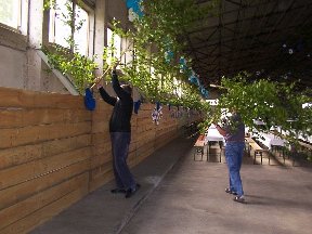 Foto zum Vergrößern bitte anklicken!