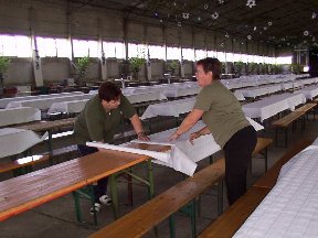 Foto zum Vergrößern bitte anklicken!