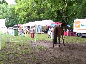 Foto zum Vergrößern bitte anklicken!