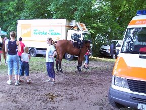 Foto zum Vergrößern bitte anklicken!