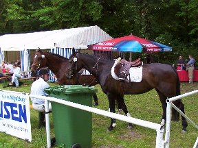 Foto zum Vergrößern bitte anklicken!