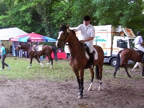 Foto zum Vergrößern bitte anklicken!