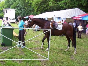 Foto zum Vergrößern bitte anklicken!