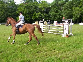 Foto zum Vergrößern bitte anklicken!