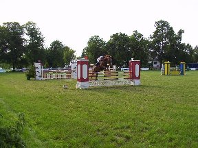 Foto zum Vergrößern bitte anklicken!