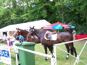 Foto zum Vergrößern bitte anklicken!