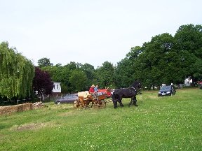 Foto zum Vergrößern bitte anklicken!