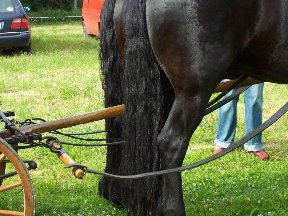 Foto zum Vergrößern bitte anklicken!